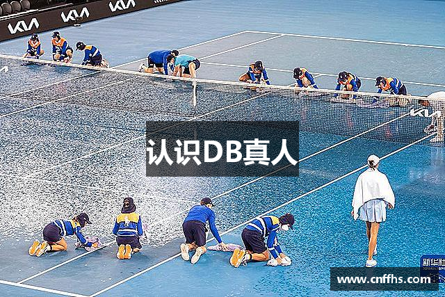 认识DB真人